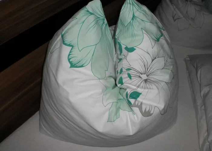 提芬布鲁恩公寓 公寓 奥法赫