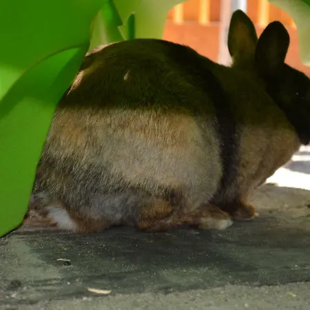 아파트 Tiefenbrunn 아우파흐